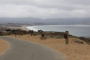 20160808-De Sunset State Beach à Monterey12